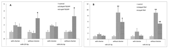 TDCIPP, TPhP 노출 후 miR-137-3p, miR-141-3p 발현비교