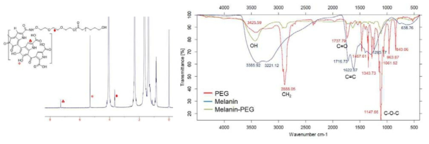 Melanin-PEG의 NMR과 FT-IR 스펙트럼