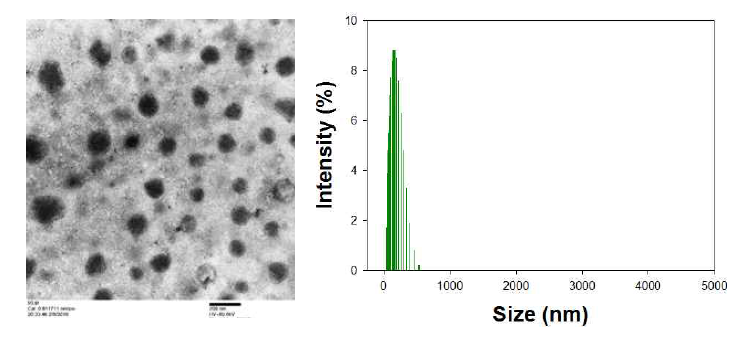 Melanin-PEG 컨쥬게이트 나노입자의 TEM 사진과 DLS 입도분석. TEM의 scale bar는 200 nm임