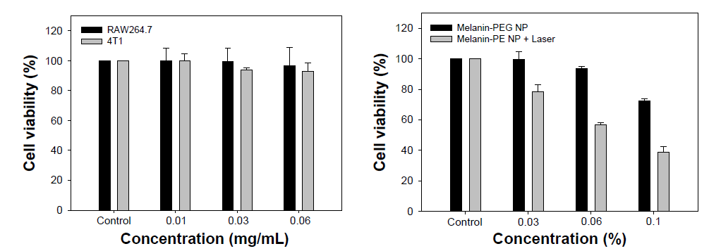 Melanin-PEG 컨쥬게이트 나노입자 처리 후 세포의 생존률 및 레이저 처리 후 세포사멸