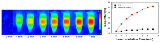 레이저 조사에 따른 멜라닌 함유 리포좀 용액의 IR thermal 카메라 사진과 온도 변화