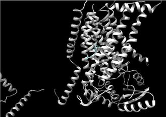 분자모델링을 통한 ANO1과 약물상호작용의 분석결과
