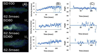 보센탄 흡입용 미세입자의 aerosol dispersion과 입자의 흐름 분포 (A) 62.5msec에서 벡터 + 입자 이미지, (B) 속도 분포, (C) 각도 분포