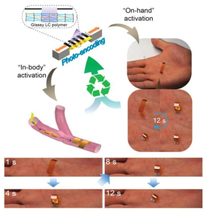 손의 체온에 의해 반응하는 광반응-패터닝 구조체 (바이오 액츄에이터)