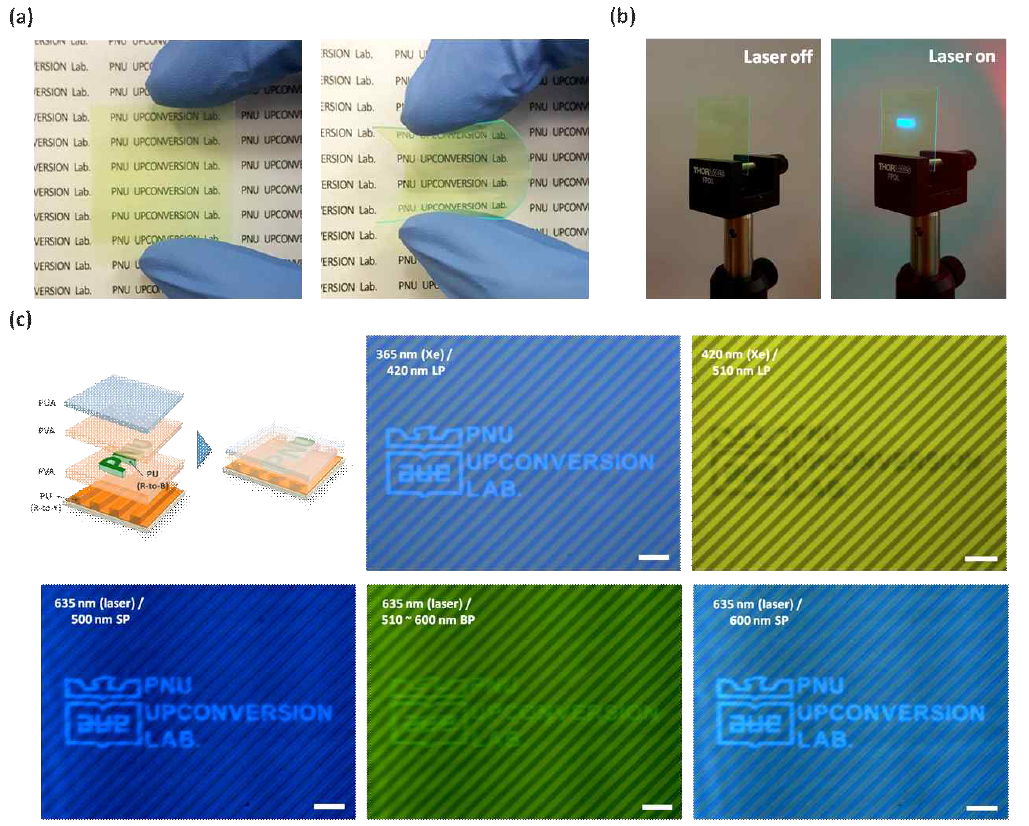 (a) 제조된 투명하고 유연한 박막형 UC 소재와 (b) 레이저 조사(635 nm)에 따른 UC 현상 사진 (c) 서로 다른 패터닝 형태 및 UC 발광특성을 가지는 p-UCf의 적층과정 모식도(좌상단)와 여기파장/측정파장에 따른 다중 p-UCf의 발광특성을 측정한 형광현미경 이미지. Scale bar = 100 μm