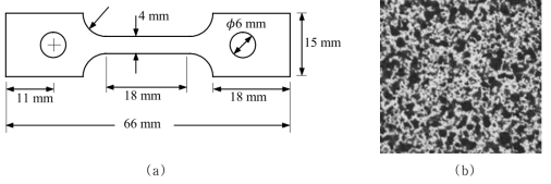 (a) 일축인장시험을 위한 시편 형상 및 (b) 시편 표면에 도포한 speckle pattern