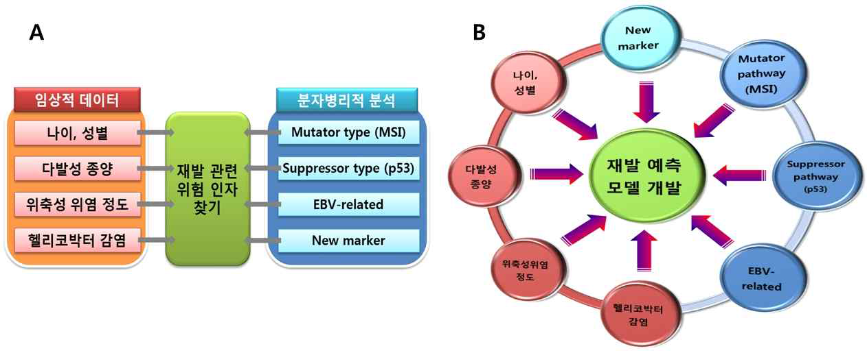 (A) 기존연구들: 개별적 인자 분석 (B) 새로운 연구: 상호 보완적 융합 연구