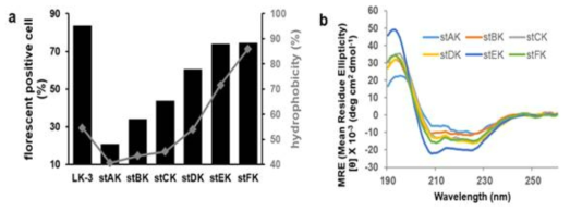 staple LK peptide의 세포투과능력 및 그 물리화학적 성질. (a) 펩타이드 16 nM에서의 HeLa cell에 대한 세포투과 능력 및 소수성의 변화를 HPLC의 retention time을 근거로 아세토니트릴의 %을 hydrophobicity (소수성)으로 비교함. (b) 20 μM 펩타이드의 알파나선도의 비교