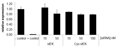 siGemone의 세포 내 전달. stEK를 이용한 비공유결합 혹은 공유결합을 이용한 전달. siRNA : CPP = 1: 10의 비율로 complex를 형성하고 10 혹은 50 nM의 농도로 HeLa cell에 24시간 배양하였을 때의 target 유전자의 상대적인 발현정도