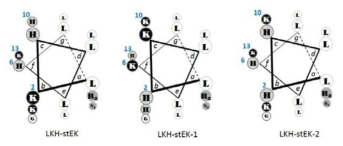 LKH-stEK 및 그 시퀀스 변형 유도체들의 wheel diagram