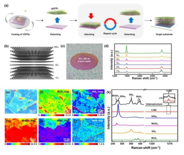 (a) 제안한 폴리머를 활용한 2D 적층 구조 형성 과정 (b) 그래핀 10층의 모식도 및 (c) 실제 사진, (d) 라만 스펙트럼. (e-j) TMdC와 hBN 적층 구조의 라만 맵핑 이미지와 (k) 스펙트럼