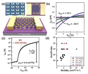 (a) MoS2를 활용하여 제작된 FET 소자의 광학현미경 이미지 및 모식도. 대표적인 MoS2 FET 소자의 (b) output curve, (c) transfer curve와 (d) mobility, on/off ratio 통계 그래프
