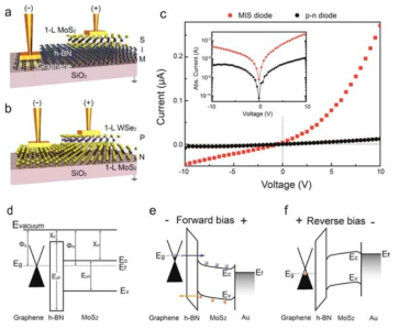 2D 물질을 활용한 (a) MIS 다이오드, (b) pn 다이오드 소자 모식도. (c) 두 소자의 대표적 I-V curve (d) MIS 다이오드의 밴드 구조 및 (e,f) 전압 방향에 따른 pn 다이오드의 밴드 구조 모식도