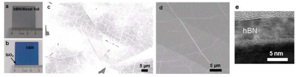 (a,b) Fe foil 위에 성장된 hBN과 SiO2 기판위에 전사한 모습의 카메라 이미지, (c,d) Fe foil 위에 성장된 hBN의 SEM 이미지, (e) iron foil 위에 성장된 다층 hBN의 TEM cross-section 이미지