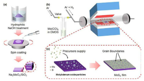 두 종류의 액상 전구체를 활용한 대면적 MoS2 성장 방법의 모식도 (a) Na2MoO4 수용액의 기판 코팅 과정 (b) 코팅된 기판에 액상 전구체 주입 모식도 (c) MoS2 성장 과정의 모식도