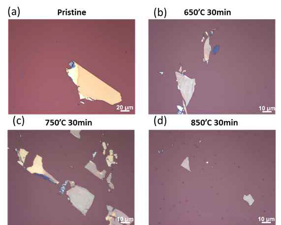 다양한 온도에서 30분 Selenization을 한 1T-WTe2 flake 샘플의 광학 이미지. (a) pristine, (b) 600 도, (c) 750도, (d) 850도