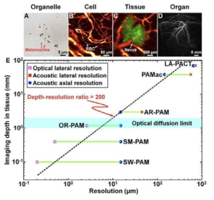 PAT 버전별 multiscale 영상 획득 예