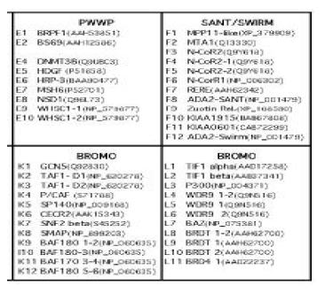 chromatin domain chip 구성 예