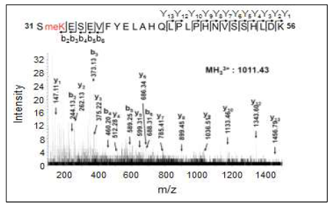 HIF-1α의 LC-MS/MS 분석