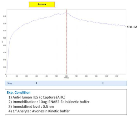 IFNAR2-Fc 와 Avonex 사이의 결합능 실험