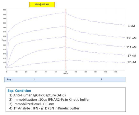 IFNAR2-Fc 와 IFN-β D73N intact 사이의 결합능 실험