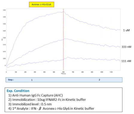 IFNAR2-Fc 와 IFN-β Avonex C-his Gly6 사이의 결합능 실험