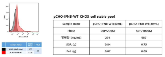 FACS 분석과 ELISA를 통한 CHO-S 생산세포주에서의 IFN beta 발현 확인