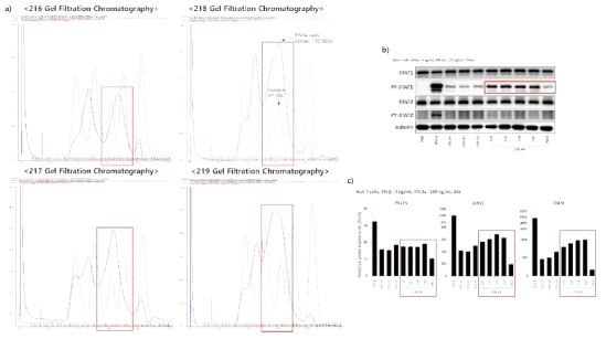 216~219번의 물성 검증 실험 결과. a) 겔여과 크로마토그래피 프로파일. b) IFNλ4에 의한 JAK-STAT 신호전달 활성화를 Western Blot으로 확인. c) 인터페론자극유전자(Interferon Stimulated Genes, ISGs)들의 발현 강도를 RT-PCR을 통해 확인
