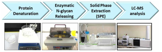 당단백질의약품의 당사슬 분석을 위한 분석법 워크플로우