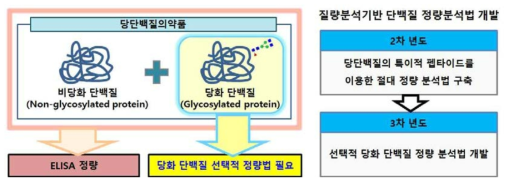 질량분석기반의 당단백질의약품 절대정량분석법