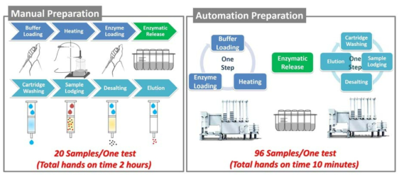 Manual과 Automation N-당사슬 전처리 과정 비교