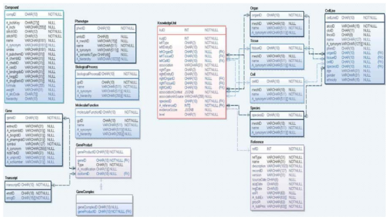 CODA repository 데이터베이스 스키마