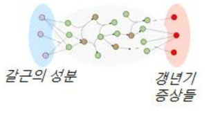 CODA의 갈근-갱년기 pathway 네트워크