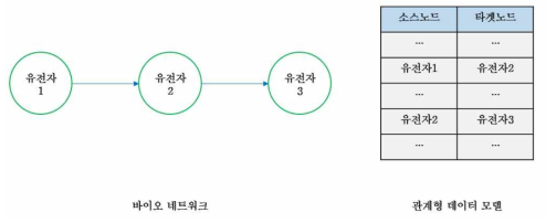 바이오 네트워크의 관계형 데이터 모델