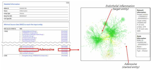 MIS에서 질환(inflammation)과 성분 조합({Adenosine}) 사이의 작용기전 시각화