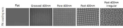 400nm 나노 패턴 멤브레인의 모양모사 - SEM 이미지