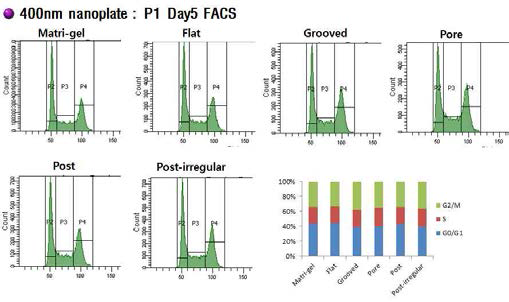 400nm 나노 패턴 멤브레인에서 계대배양된 유도만능줄기세포의 세포주기-P1