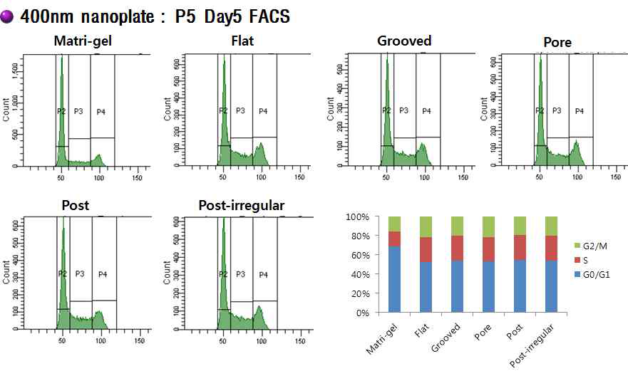 400nm 나노 패턴 멤브레인에서 계대배양된 유도만능줄기세포의 세포주기 -P5