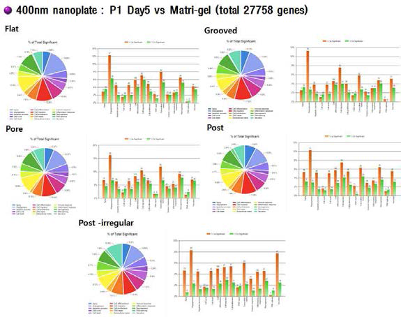 400nm 나노 패턴 멤브레인과 Matri-gel에서 계대배양된 유도만능줄기세포의 유전자 발현 비교 그래프