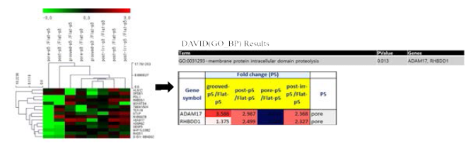 RNA sequencing analysis 결과