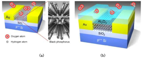 (a) 일반 흑린 광 트랜지스터와 (b) 알루미나 (Al2O3) 보호막을 씌운 광 트랜지스터