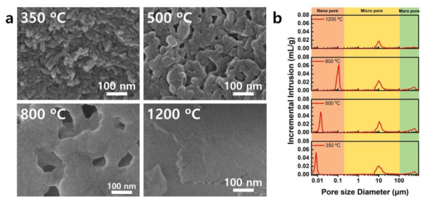 (a) 소결 온도에 따른 나노구조의 SEM 분석 결과, (b) 수은 흡착법을 통해 분석한 소결 온도에 따른 나노 기공 분포