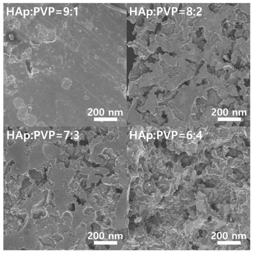 PVP의 무게 함량을 조절하여 SEM으로 마이크로 구조 변화 관찰