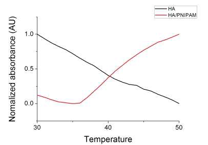 HA 표면에 부착된 온도감응성 PNIPAM의 온도 반응성