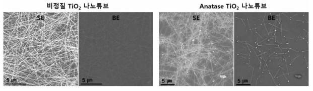 자외선 조사 후 비정질 TiO2 나노튜브와 anatase TiO2 나노튜브에서의 Au 이온 환원 비교. 동일 영역에서 SEM을 이용한 SE(secondary electron) 이미지와 BE(back scattered electron) 이미지를 비교를 통하여 anatase TiO2 나노튜브 내에서만 Au 나노와이어가 성장한 것을 확인