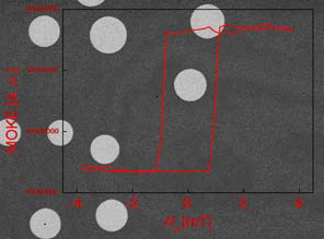 Co 0.2 nm 박막의 광자기 커르 현미경 영상