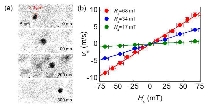 버블케이드 크기 및 속도 최적화: (a) 지름 3.3 μm 크기의 버블케이드 구현, (b) 수평자기장 Hx에 따른 버블 자구 속력 VB 측정 및 최대 8.5 m/s 버블케이드 속도 구현