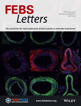 FEBS Letters cover figure