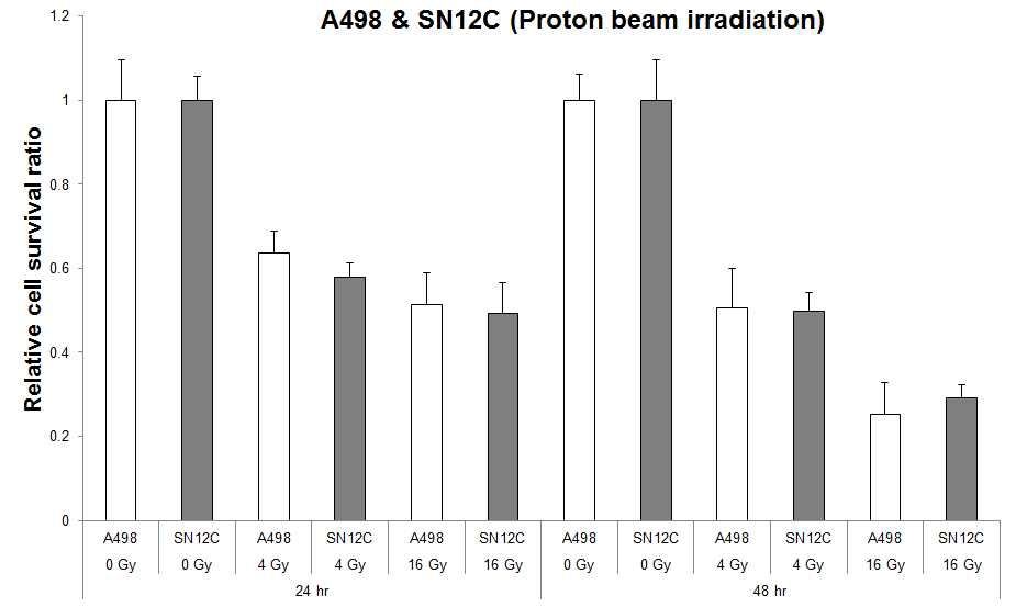 A498 및 SN12C 세포주에서 세포 생존력 측정 실험(0 Gy 대비 상대적인 세포 생존력 비교)