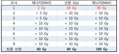 각 공정별 X선 조사 계획